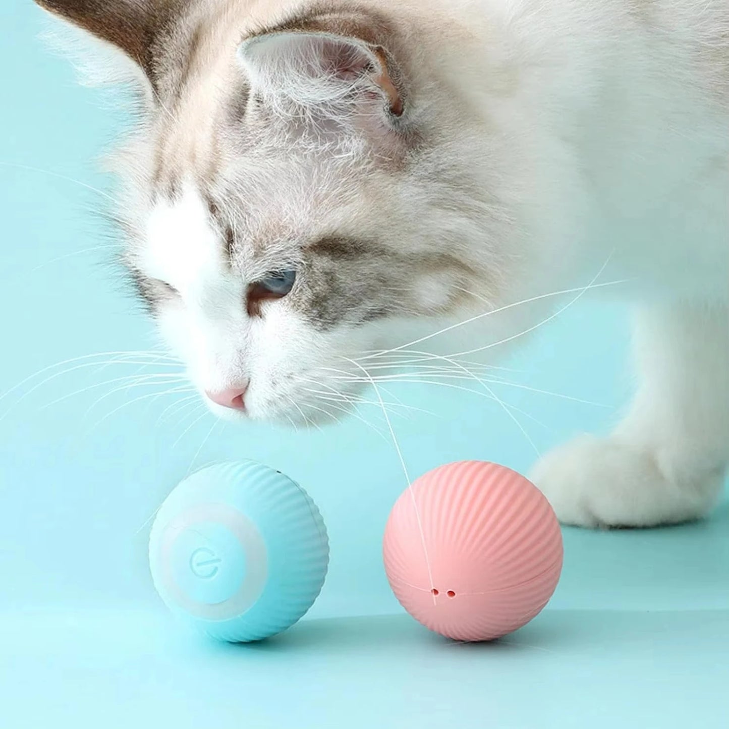 Whisker Wonder Smart Cat Ball